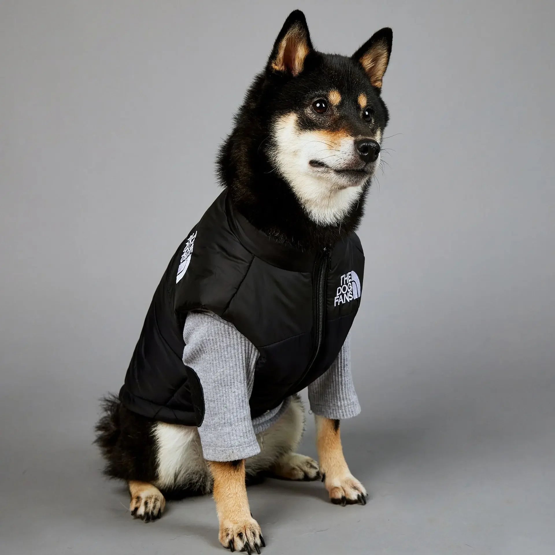 Warm Cotton Dog Winter Jacket – Windproof & Waterproof Coat