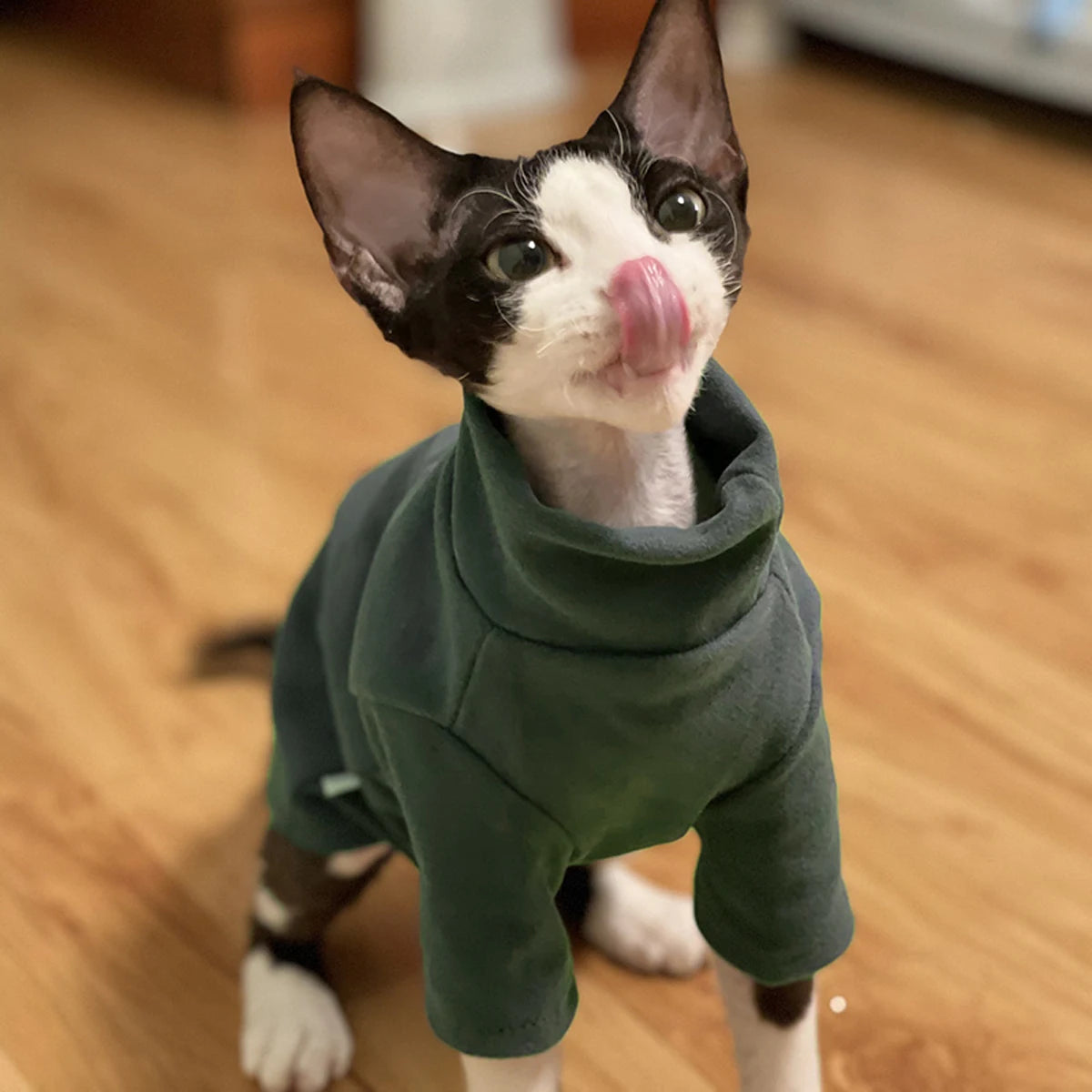Soft Cotton Hoodie for Sphynx Cats & Small Dogs