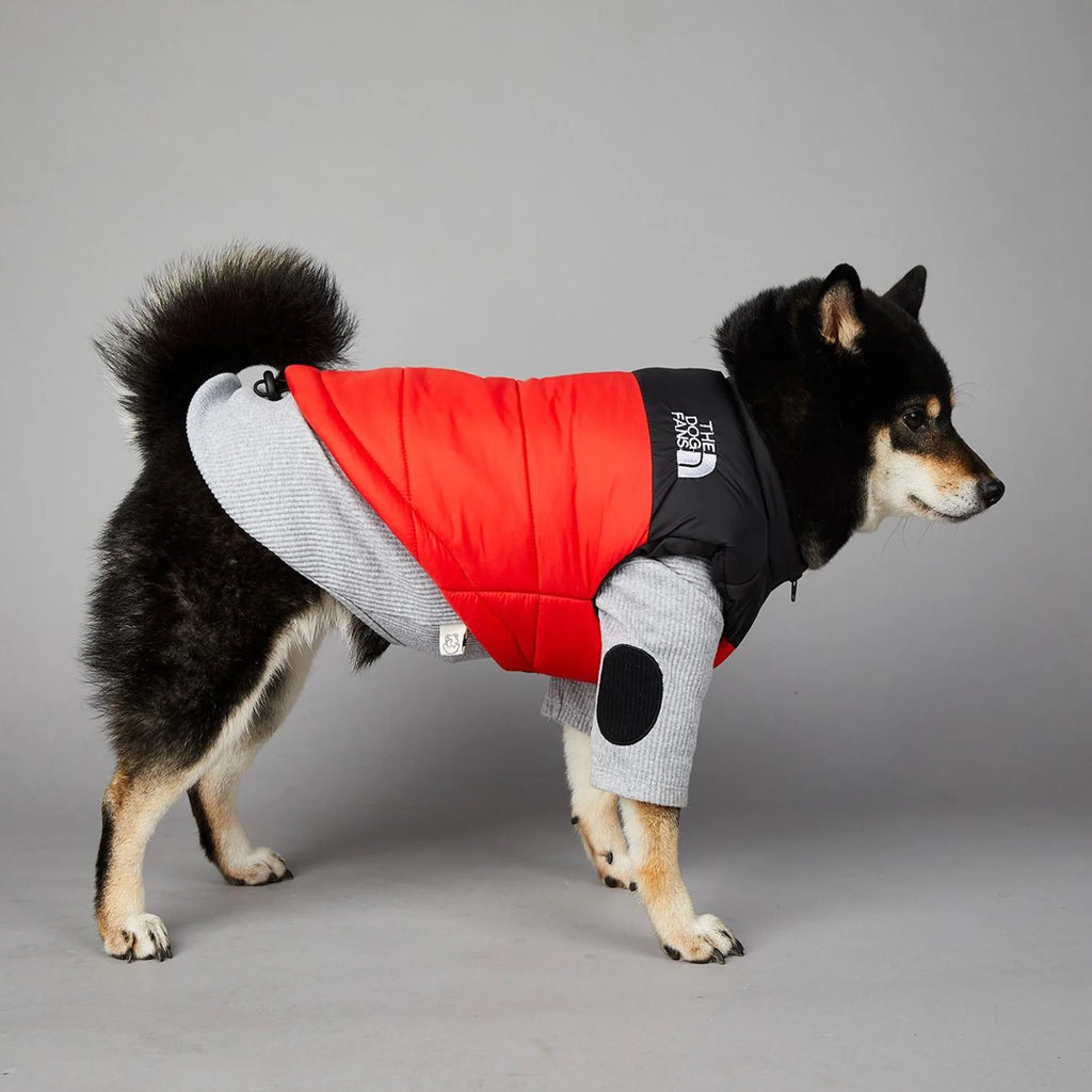 Warm Cotton Dog Winter Jacket – Windproof & Waterproof Coat