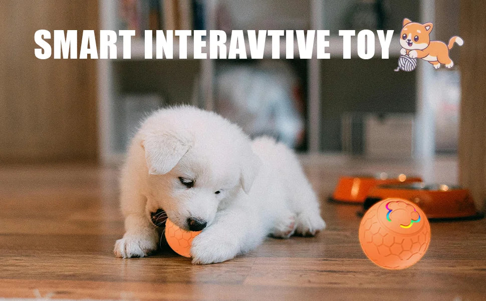 Smart Interactive Dog Toy Ball LED Rolling Toy