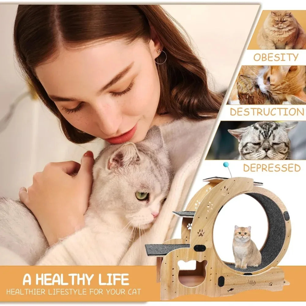 6-in-1 Cat Exercise Wheel with Bed & Scratching Board – Indoor Fitness Toy - Veloro