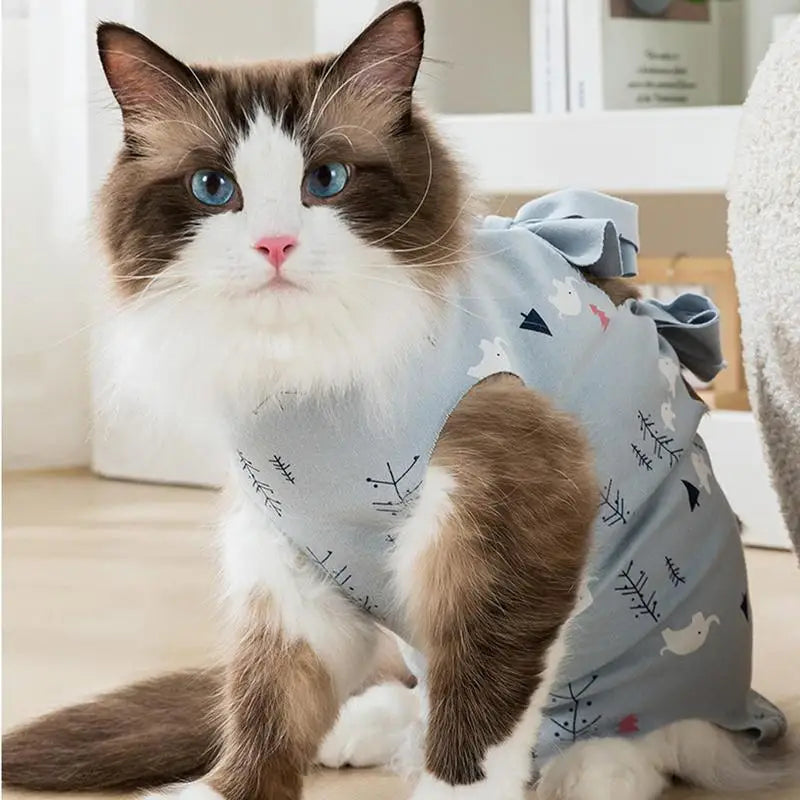Cat Recovery Suit – Anti-Licking Bodysuit