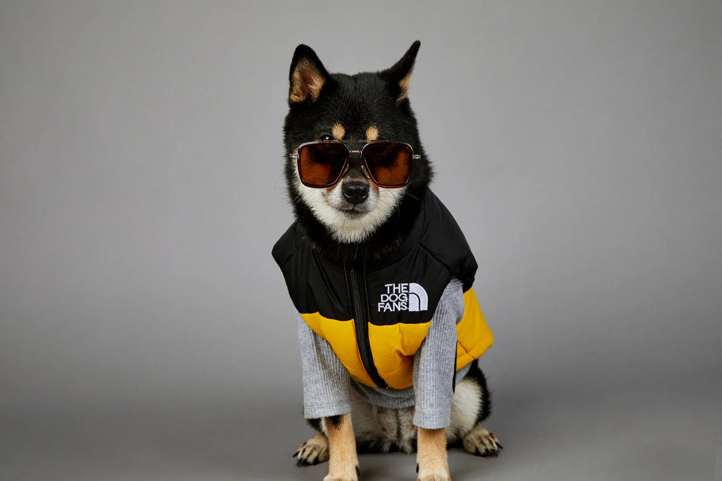 Warm Cotton Dog Winter Jacket – Windproof & Waterproof Coat