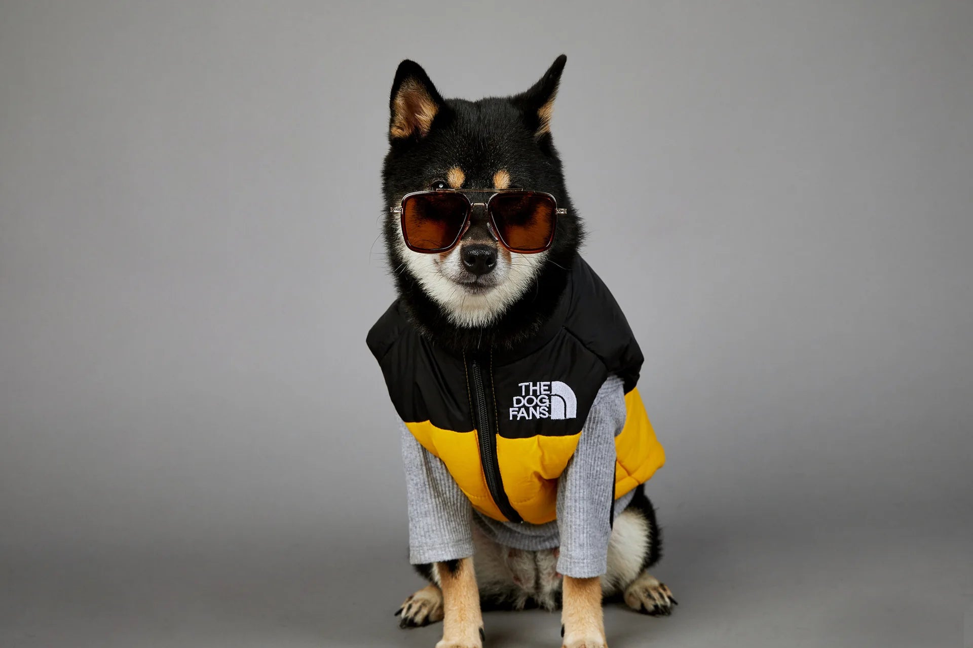 Warm Cotton Dog Winter Jacket – Windproof & Waterproof Coat