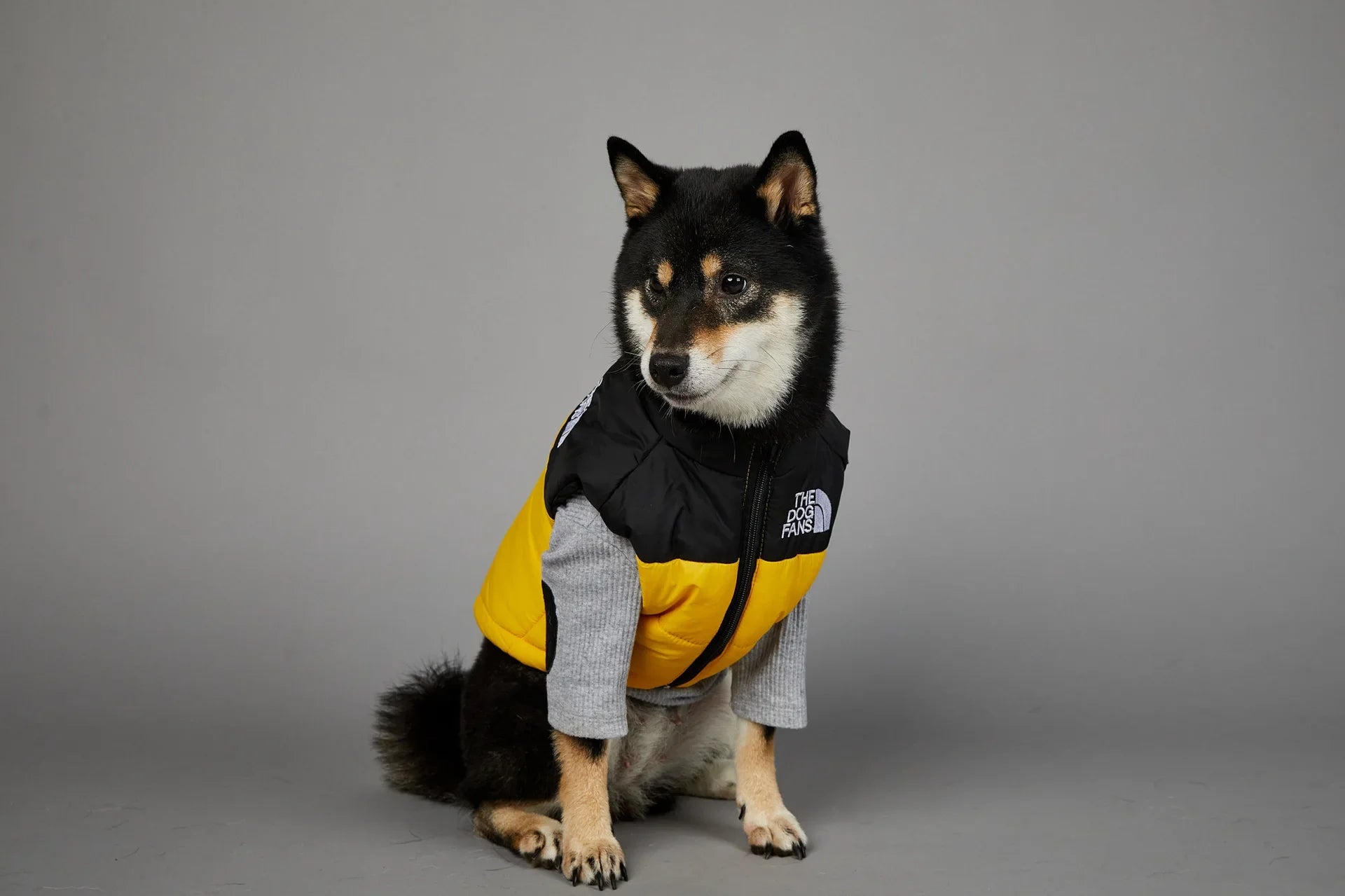 Warm Cotton Dog Winter Jacket – Windproof & Waterproof Coat