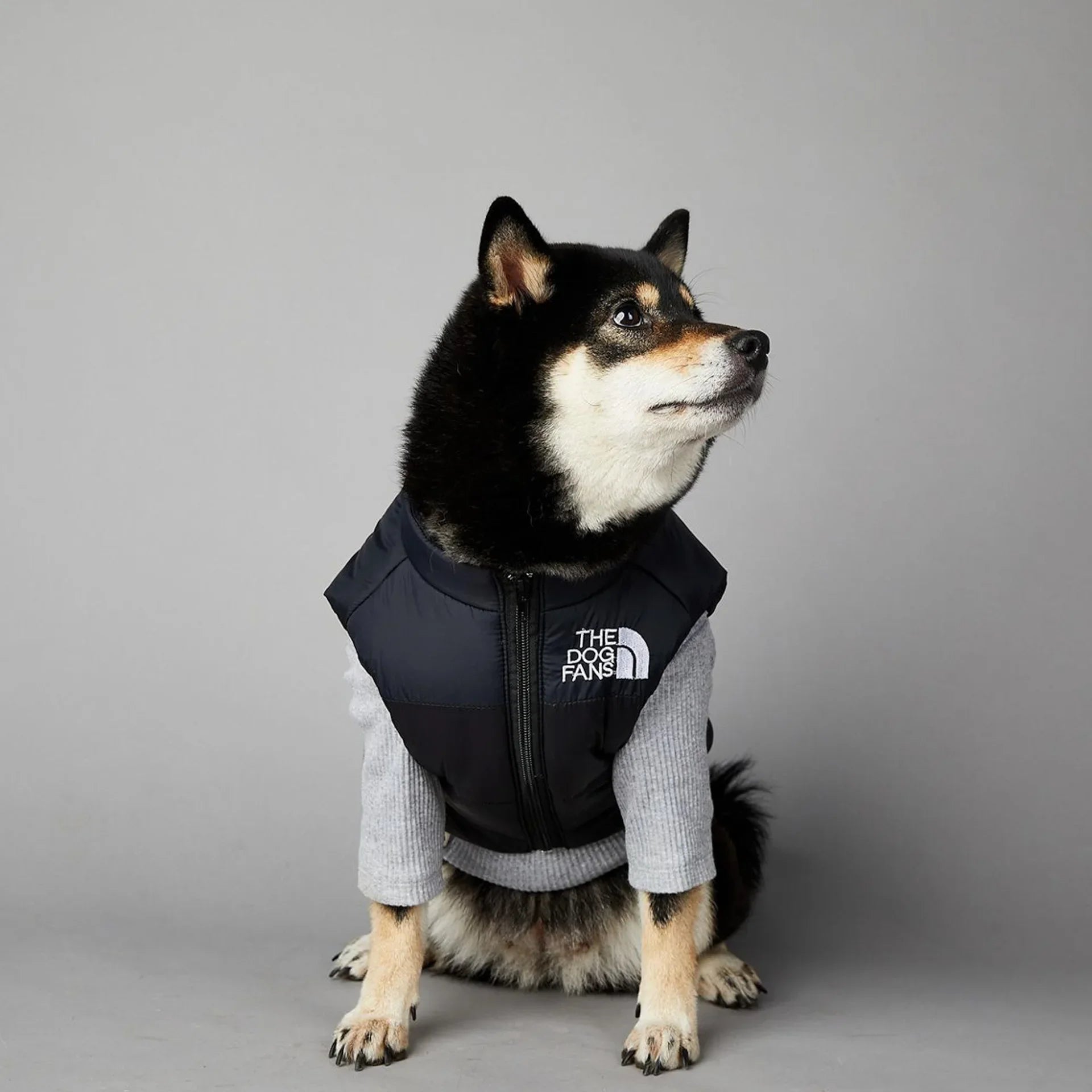 Warm Cotton Dog Winter Jacket – Windproof & Waterproof Coat