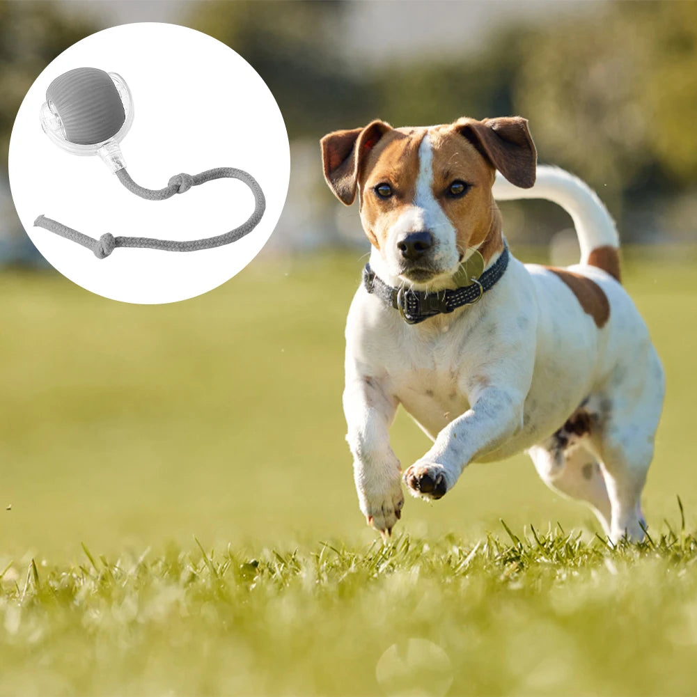 Cat Interactive Rolling Ball USB Rechargeable Toy