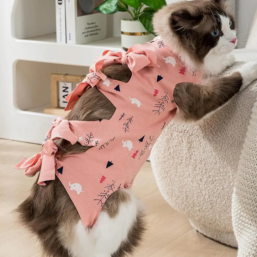 Cat Recovery Suit – Anti-Licking Bodysuit