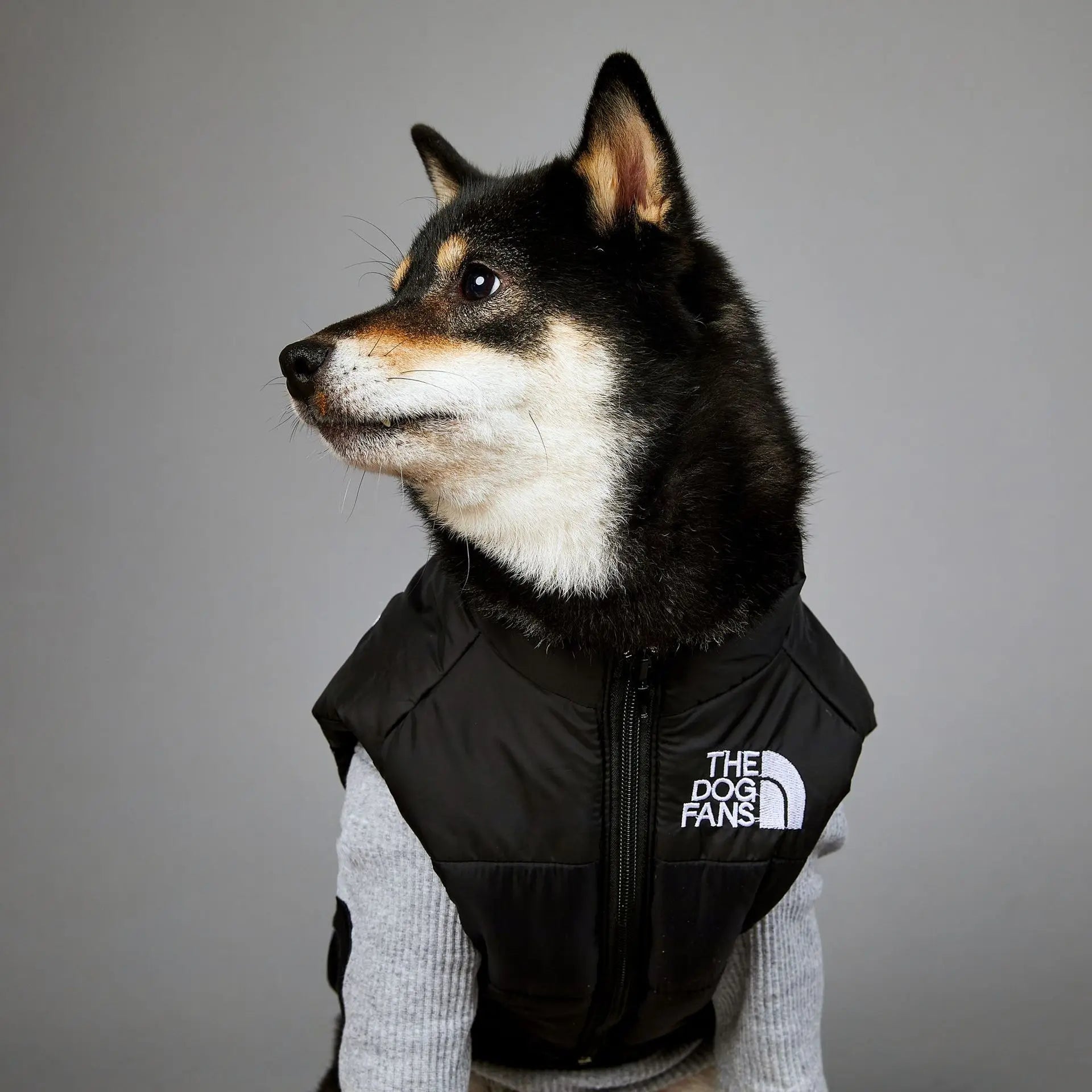 Warm Cotton Dog Winter Jacket – Windproof & Waterproof Coat