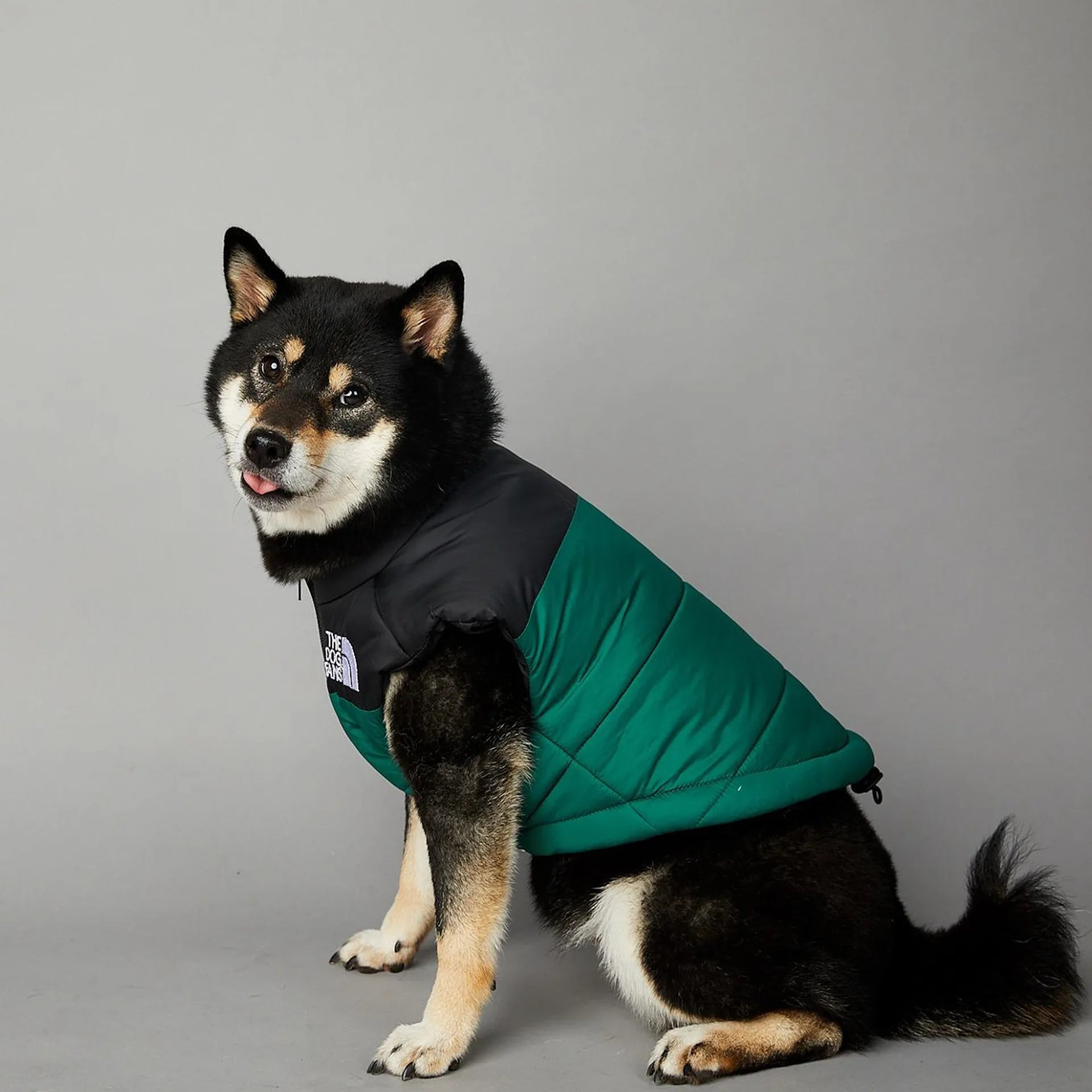 Warm Cotton Dog Winter Jacket – Windproof & Waterproof Coat