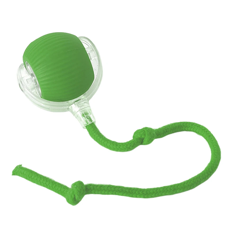 Cat Interactive Rolling Ball USB Rechargeable Toy