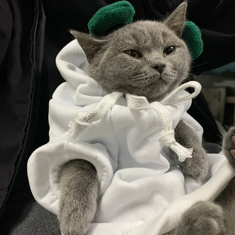 Winter Hoodie Sweater for Cats & Small Dogs