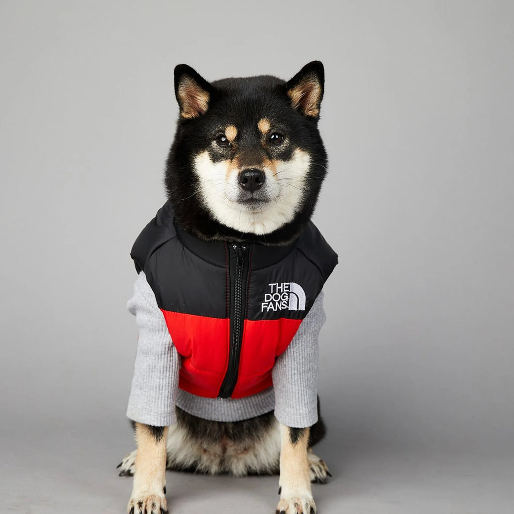 Warm Cotton Dog Winter Jacket – Windproof & Waterproof Coat