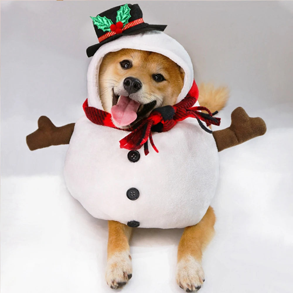 Snowman Dog Costume for Small & Medium Dogs
