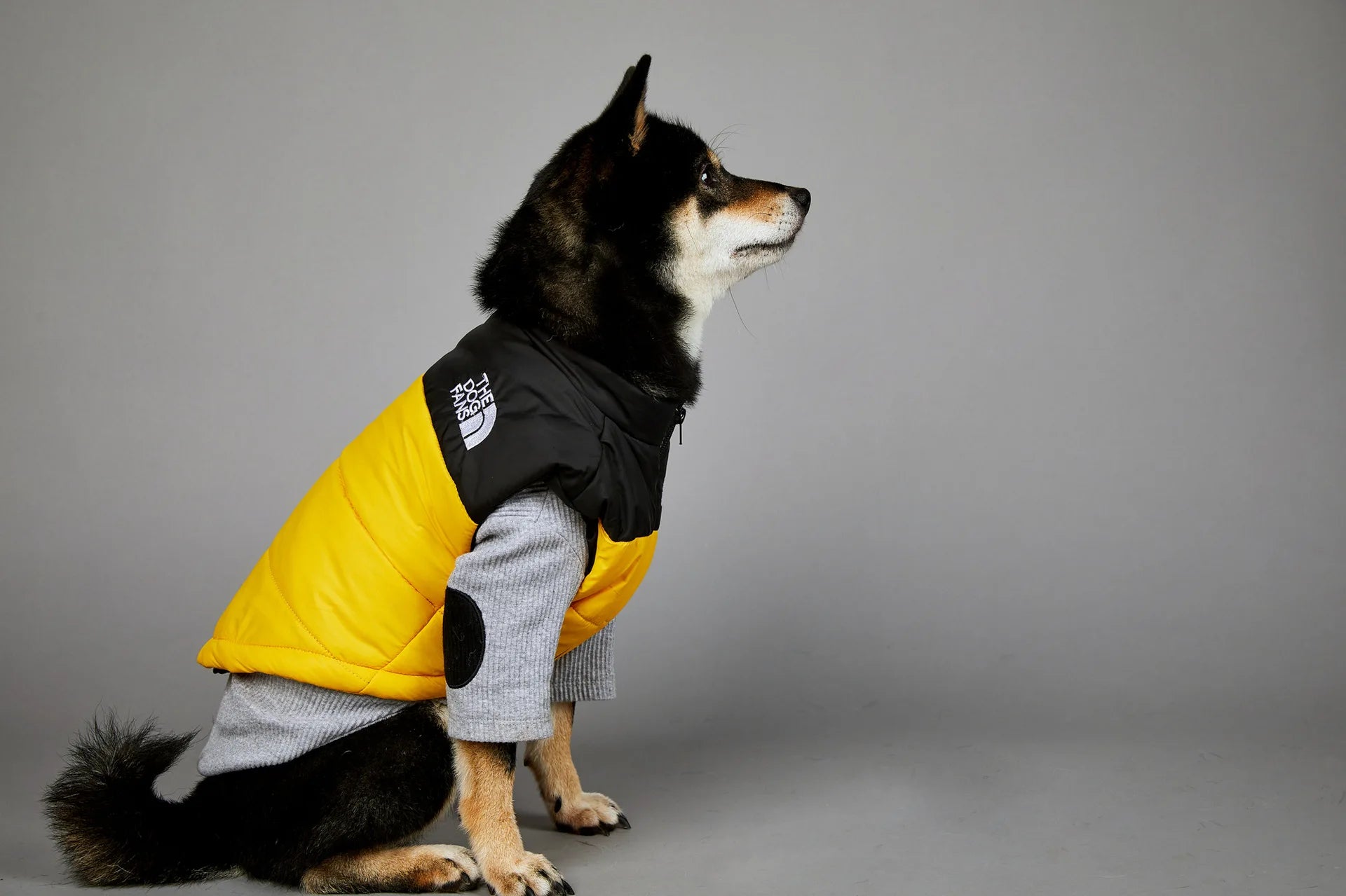 Warm Cotton Dog Winter Jacket – Windproof & Waterproof Coat