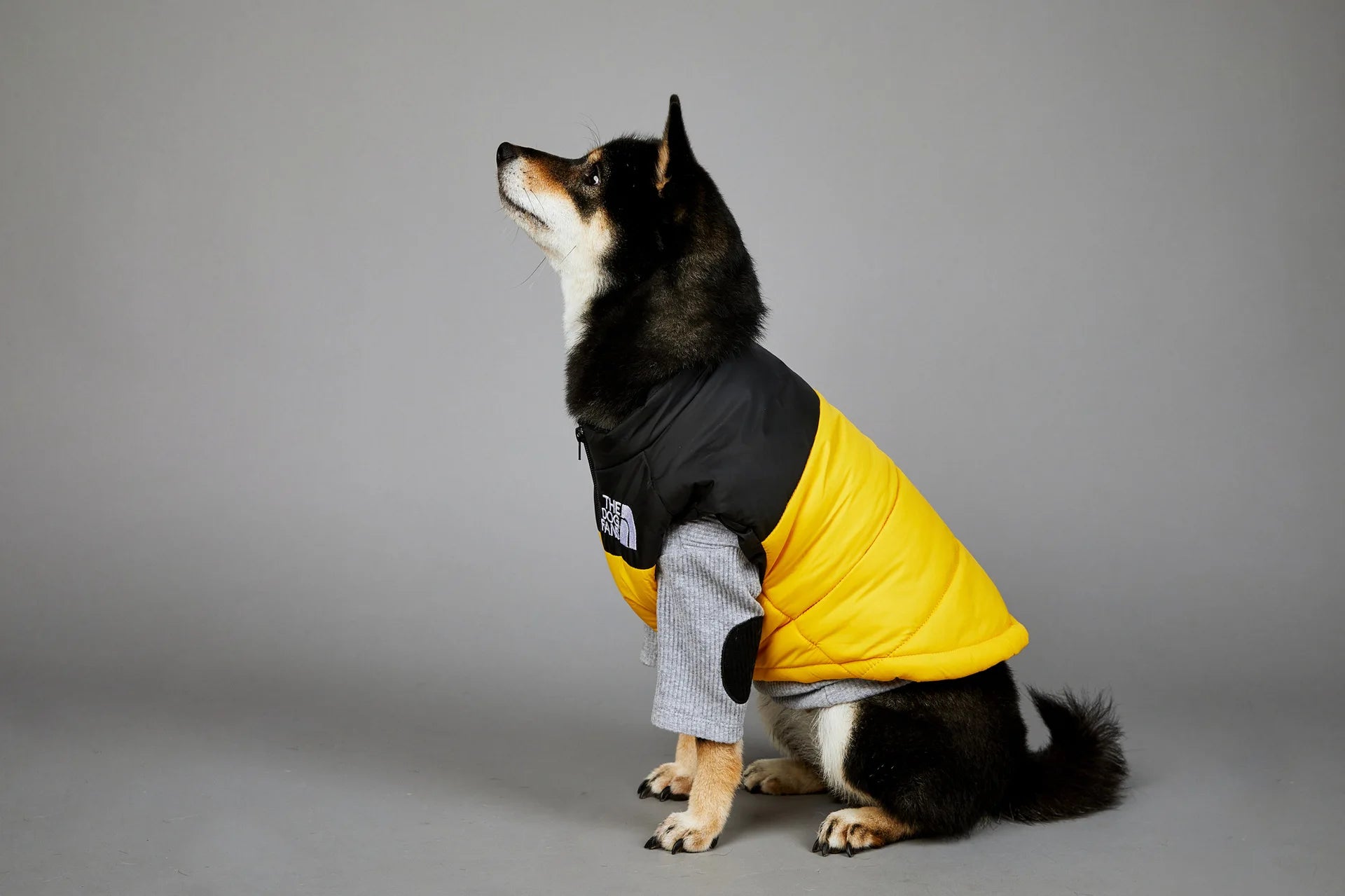 Warm Cotton Dog Winter Jacket – Windproof & Waterproof Coat