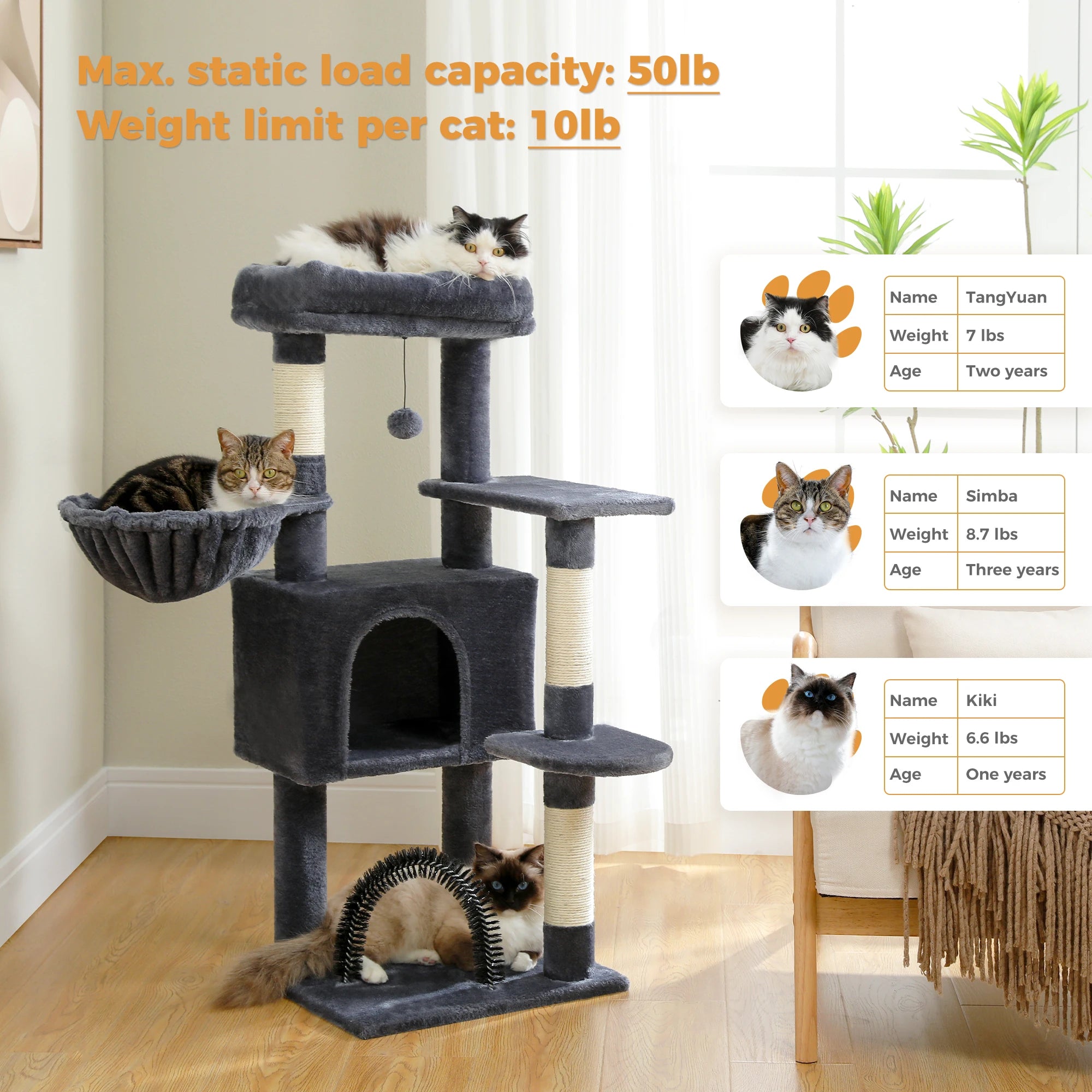 Multi-Level Cat Tree with Condo, Hammock & Scratching Posts