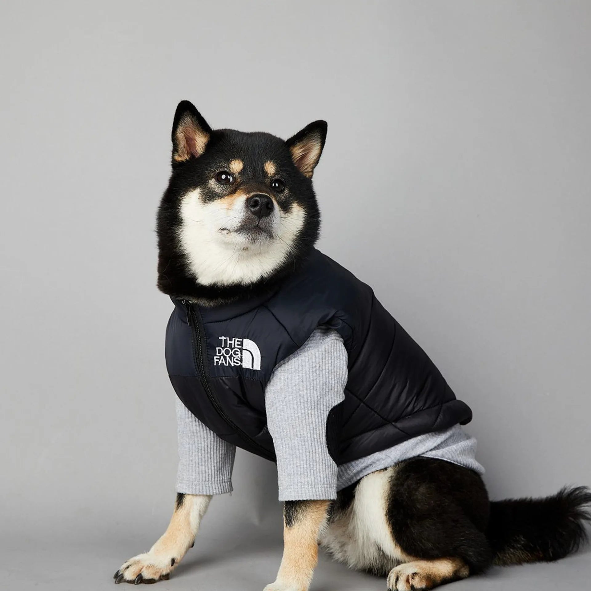 Warm Cotton Dog Winter Jacket – Windproof & Waterproof Coat