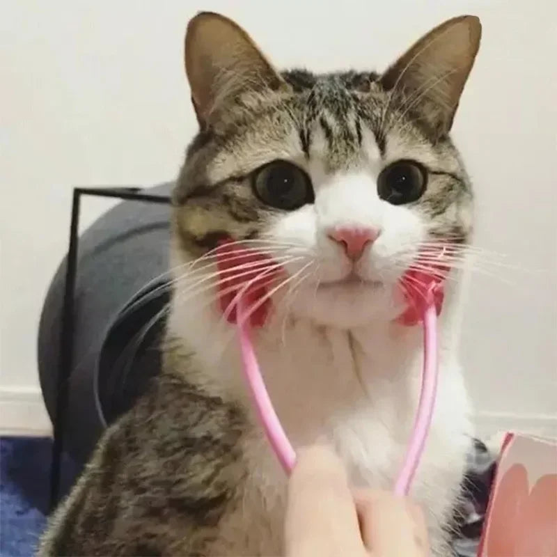 Cat Face & Body Massager Grooming Tool