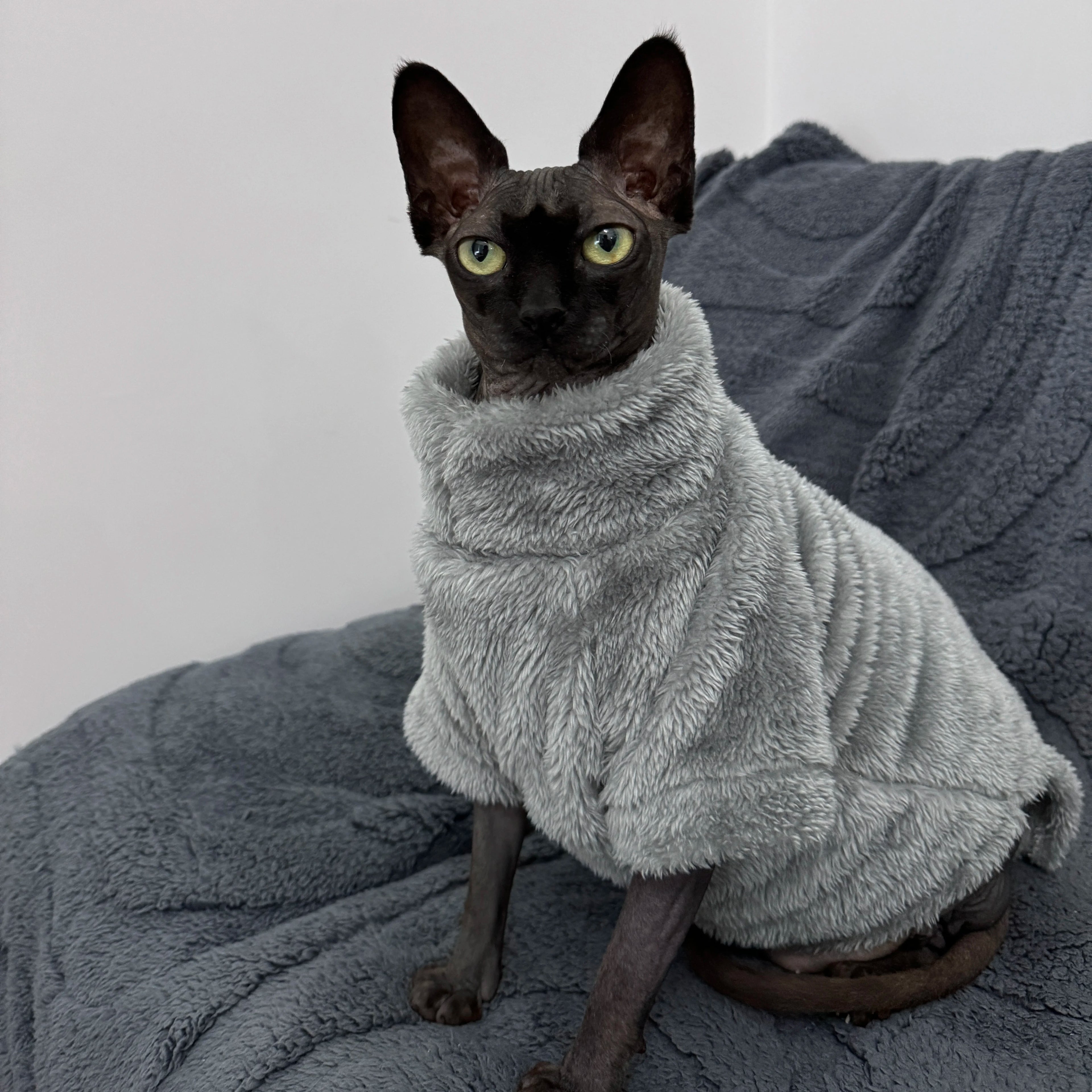 Cat Sweater Warm Velvet Vest for Small & Hairless Cats