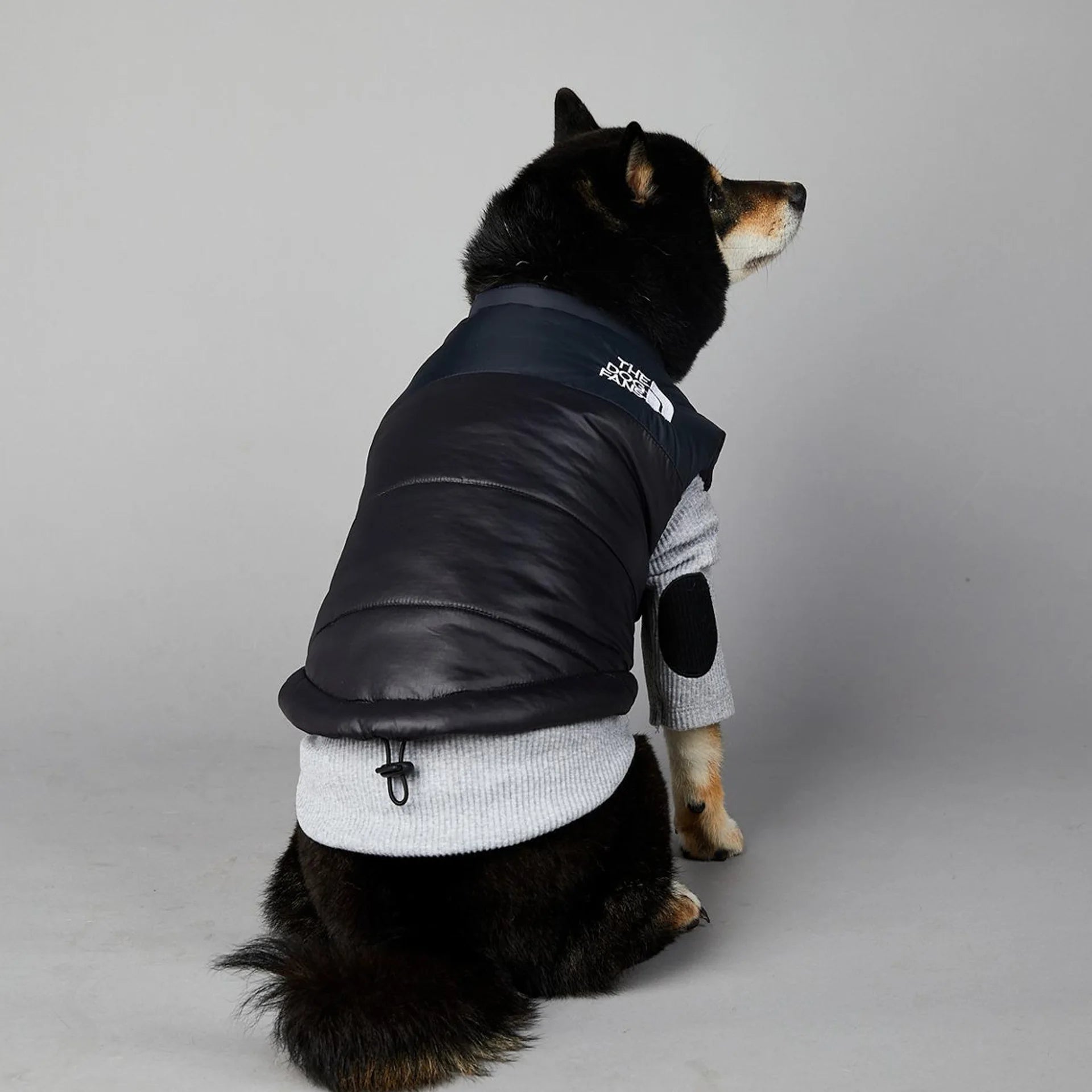 Warm Cotton Dog Winter Jacket – Windproof & Waterproof Coat