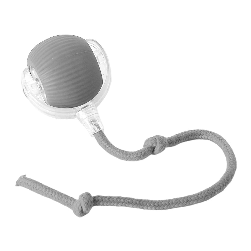 Cat Interactive Rolling Ball USB Rechargeable Toy