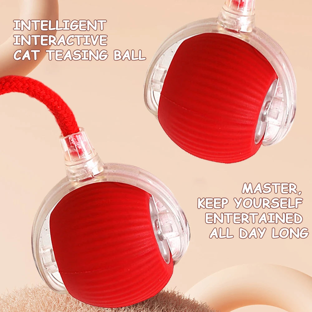 Cat Interactive Rolling Ball USB Rechargeable Toy
