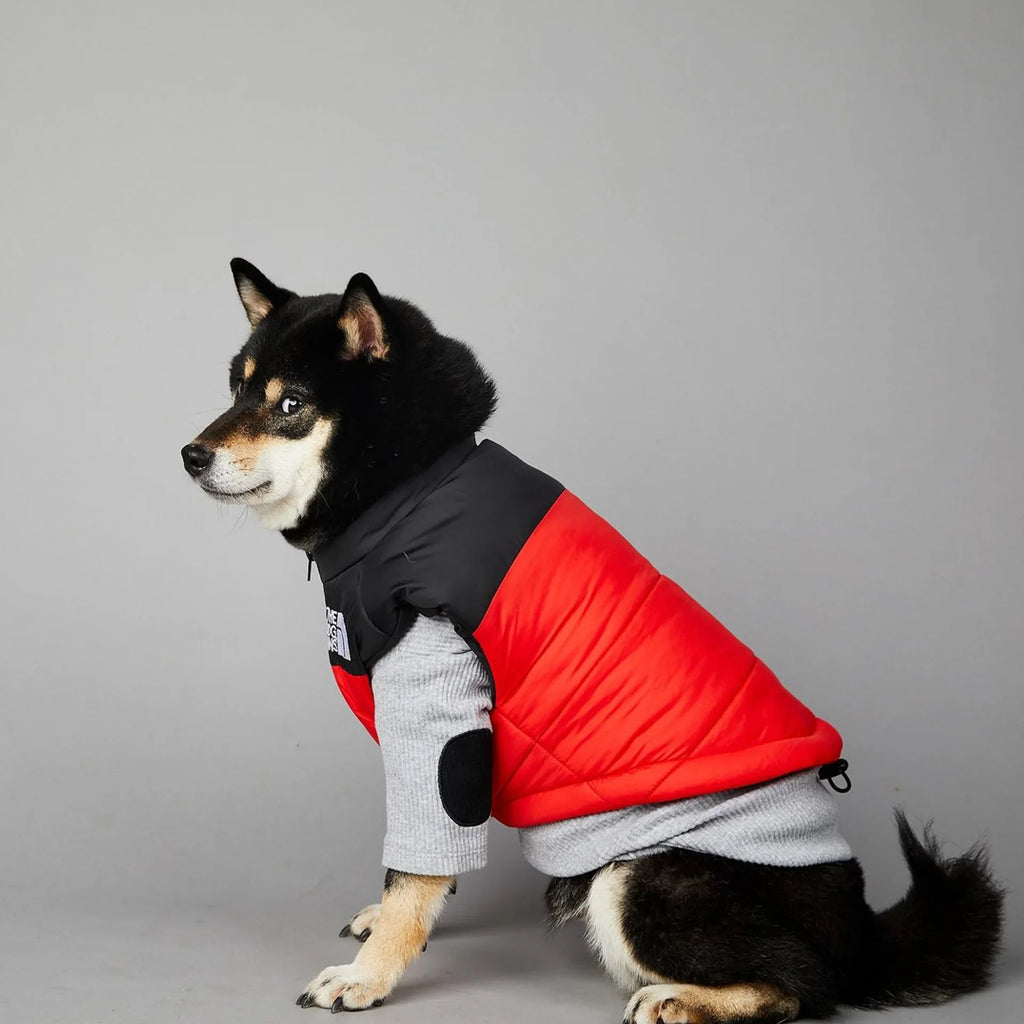 Warm Cotton Dog Winter Jacket – Windproof & Waterproof Coat