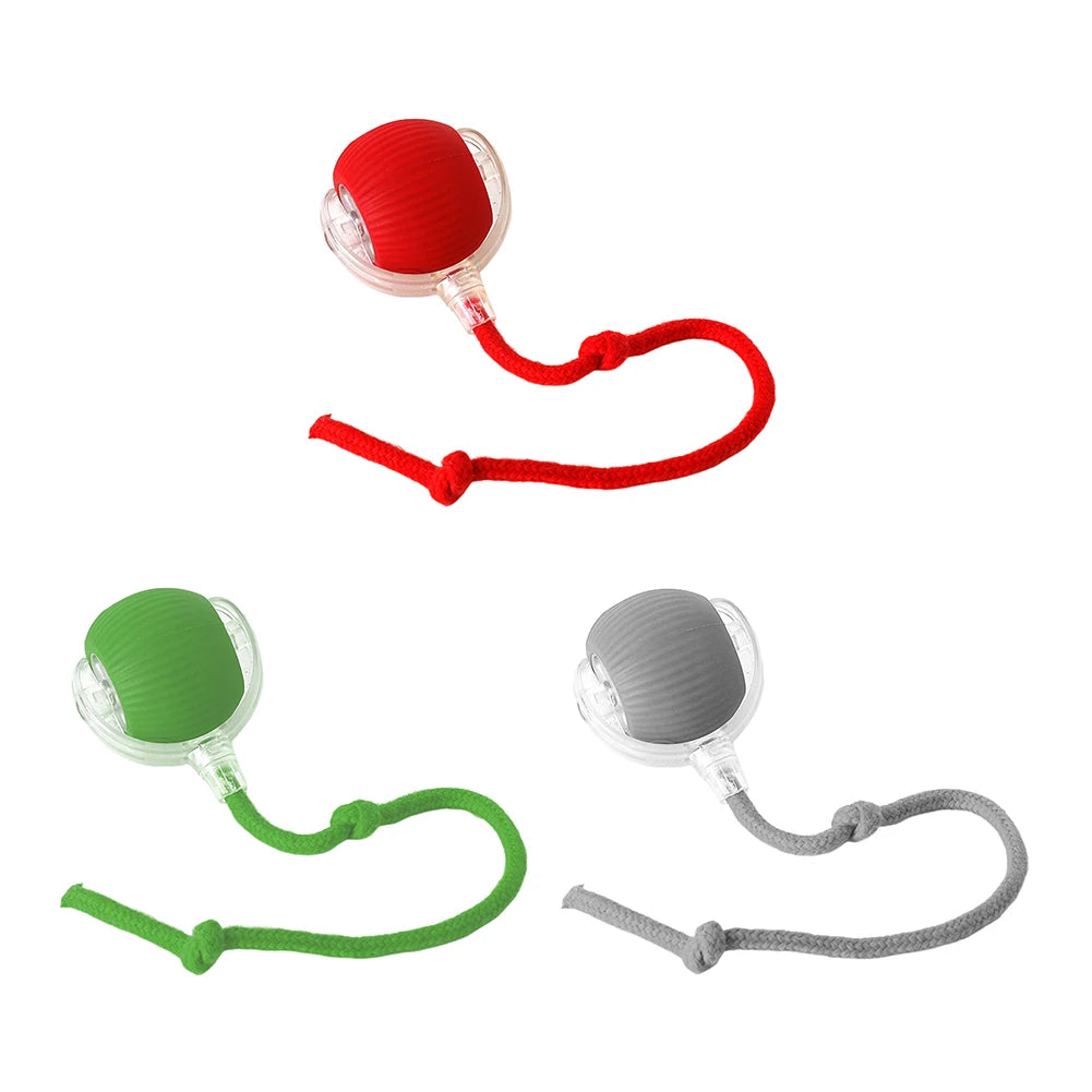 Cat Interactive Rolling Ball USB Rechargeable Toy