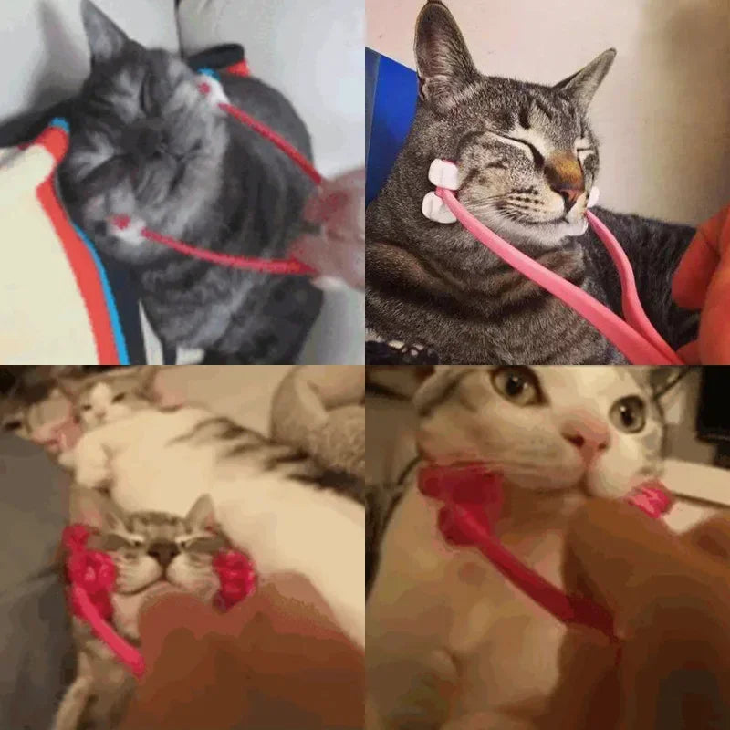 Cat Face & Body Massager Grooming Tool