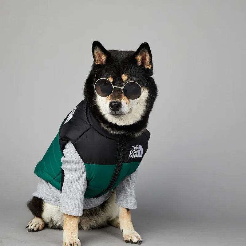 Warm Cotton Dog Winter Jacket – Windproof & Waterproof Coat