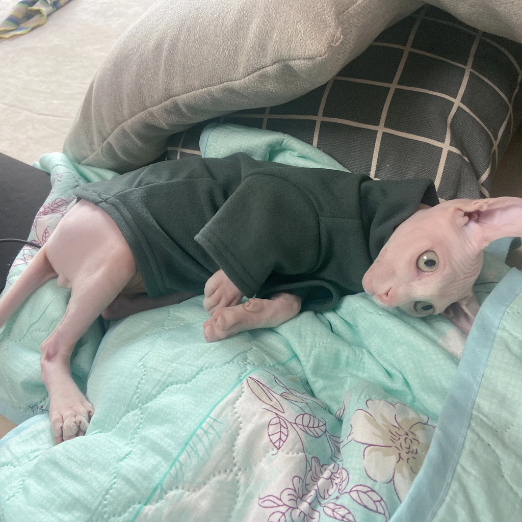Soft Cotton Hoodie for Sphynx Cats & Small Dogs