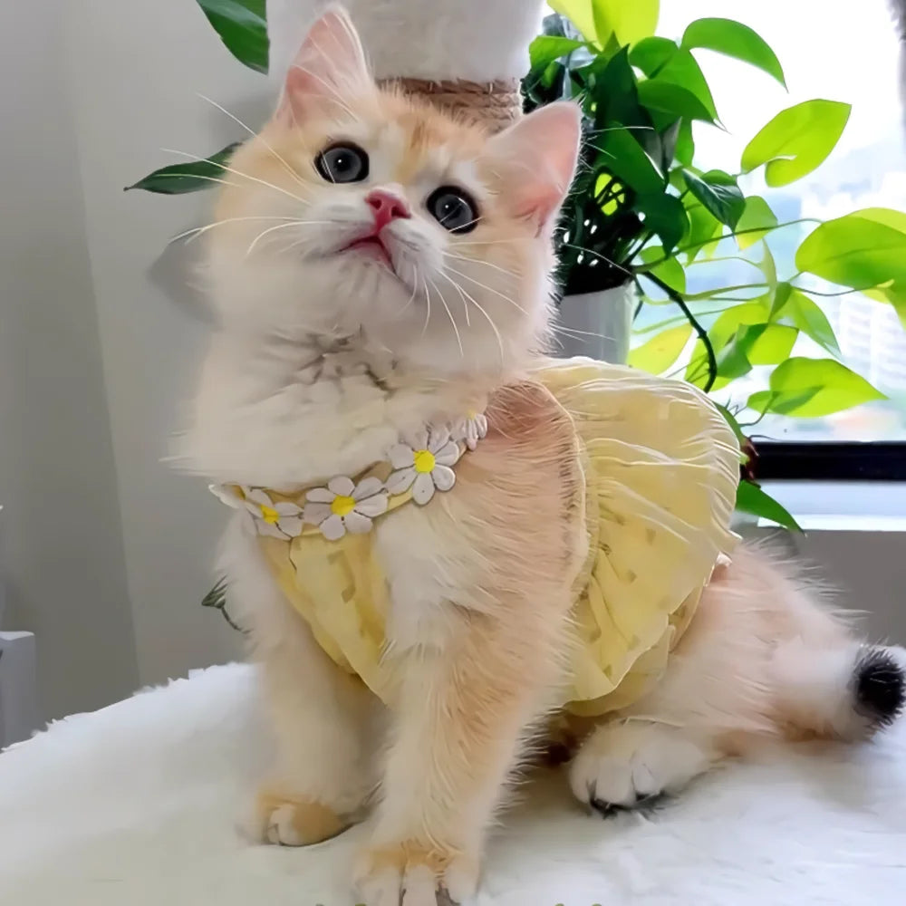 Yellow Floral Cat & Dog Summer Dress