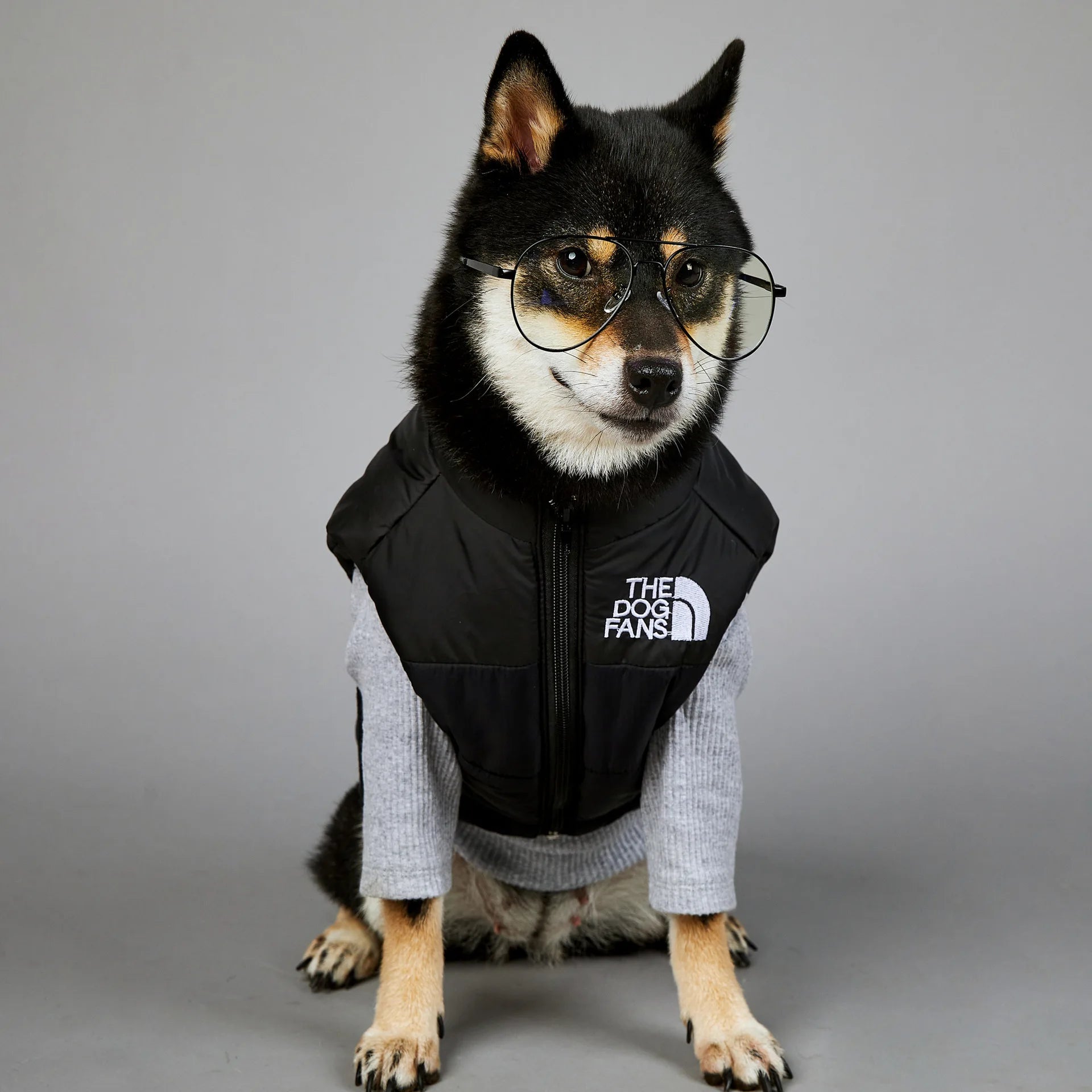 Warm Cotton Dog Winter Jacket – Windproof & Waterproof Coat