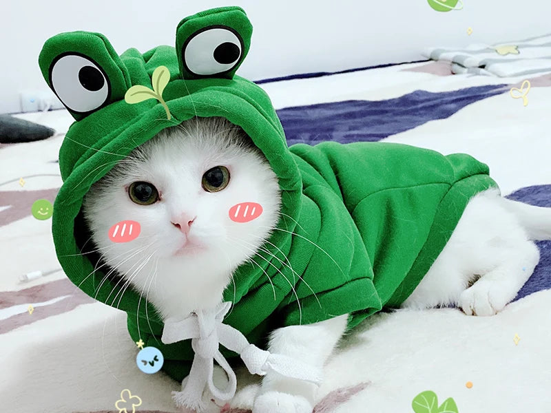 Winter Hoodie Sweater for Cats & Small Dogs