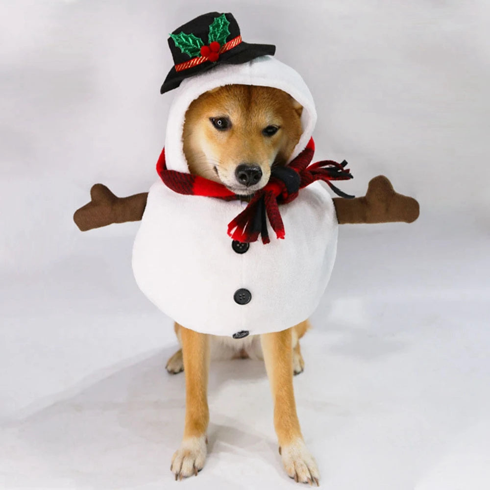 Snowman Dog Costume for Small & Medium Dogs