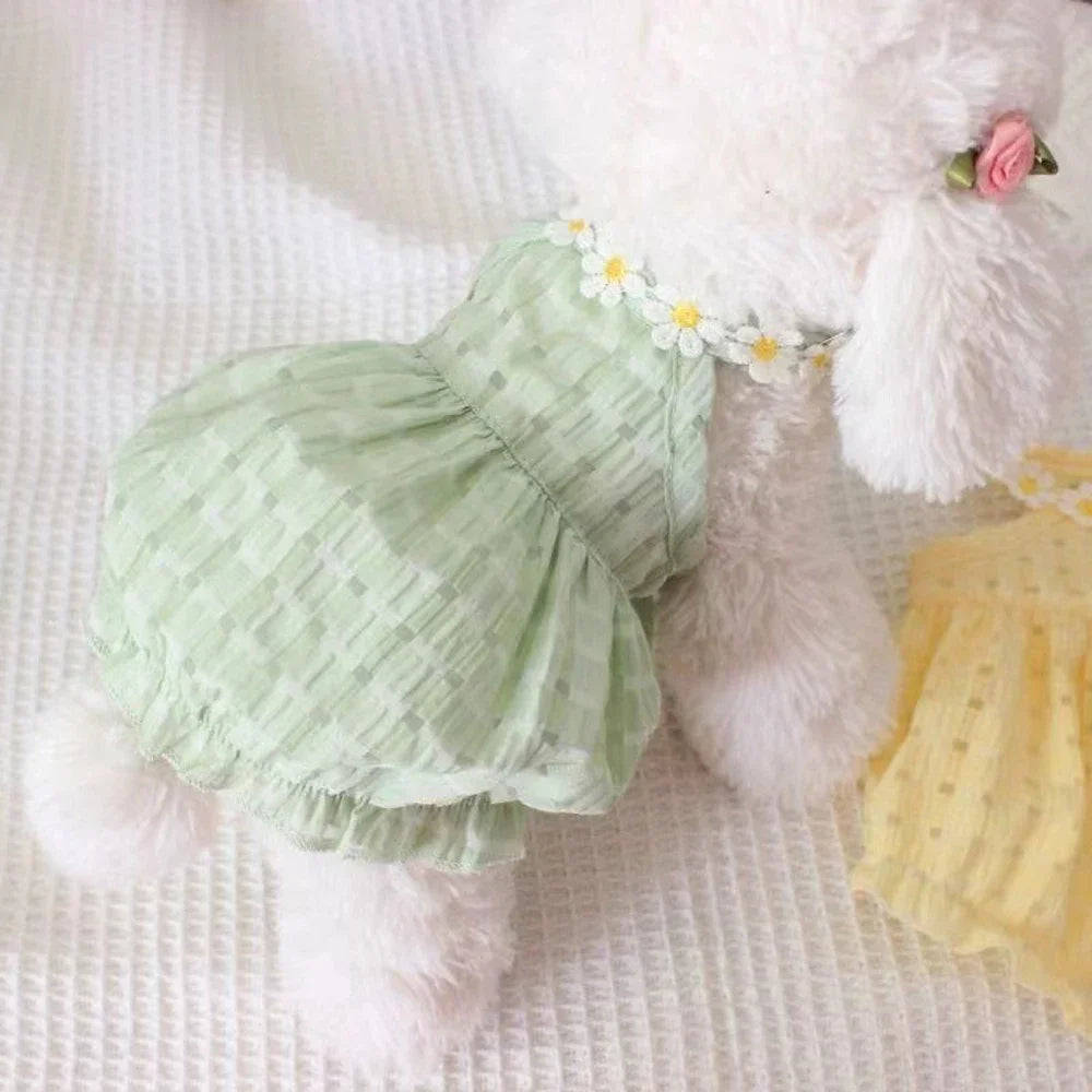 Yellow Floral Cat & Dog Summer Dress