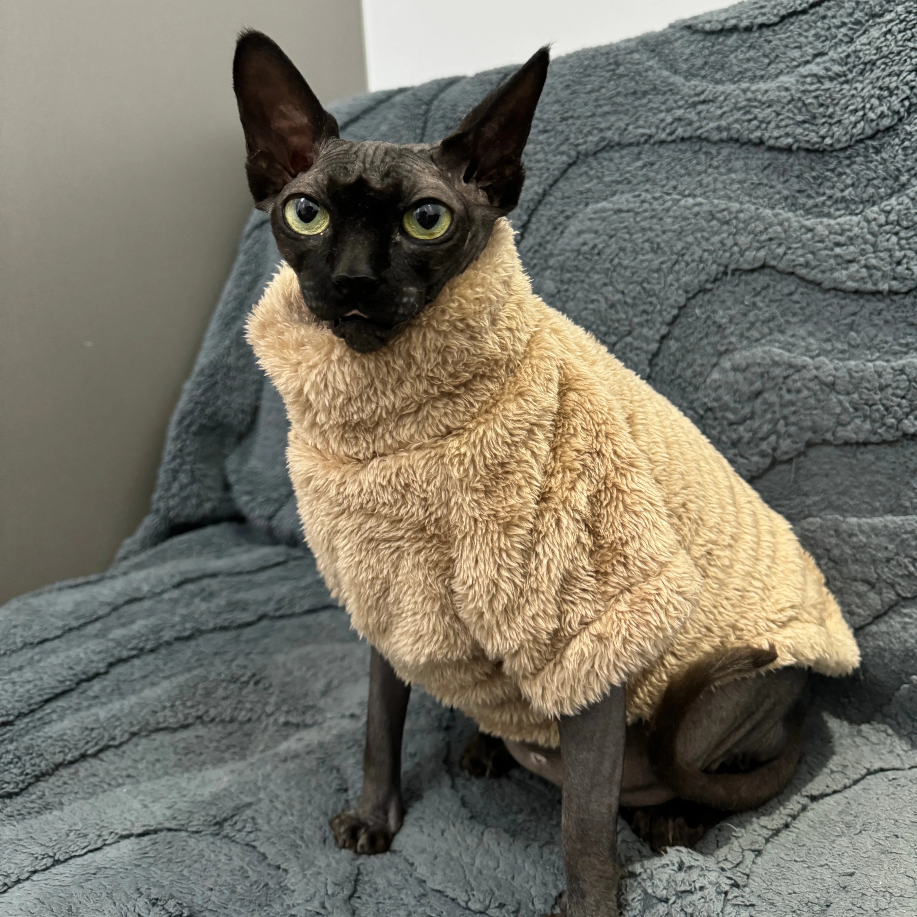 Cat Sweater Warm Velvet Vest for Small & Hairless Cats