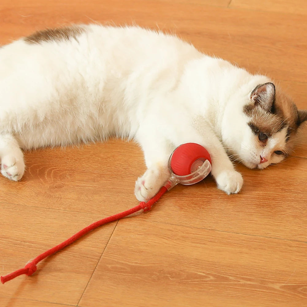 Cat Interactive Rolling Ball USB Rechargeable Toy
