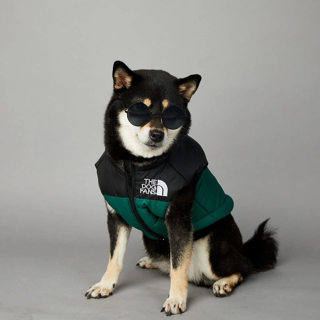 Warm Cotton Dog Winter Jacket – Windproof & Waterproof Coat