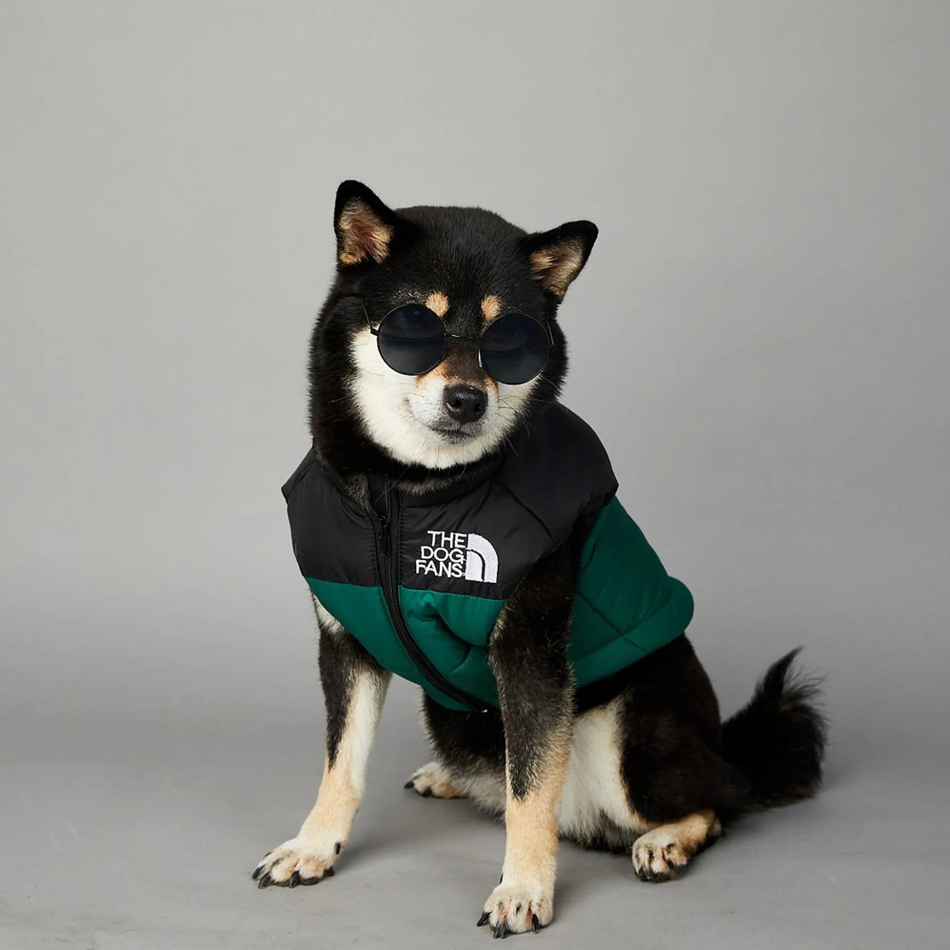 Warm Cotton Dog Winter Jacket – Windproof & Waterproof Coat