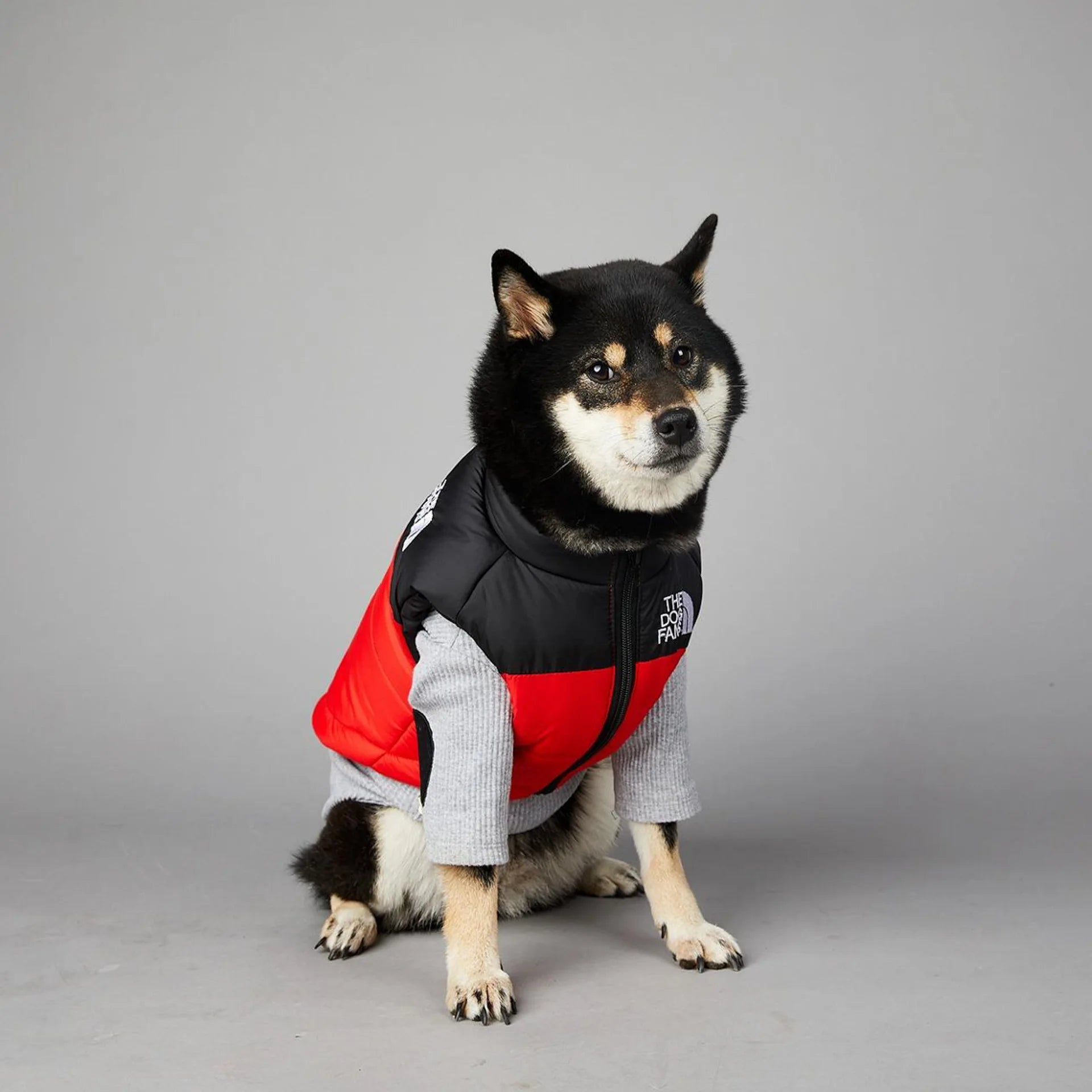 Warm Cotton Dog Winter Jacket – Windproof & Waterproof Coat