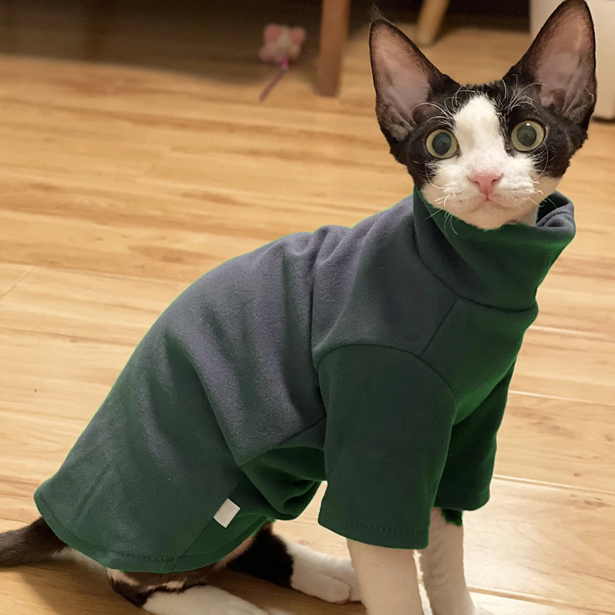 Soft Cotton Hoodie for Sphynx Cats & Small Dogs