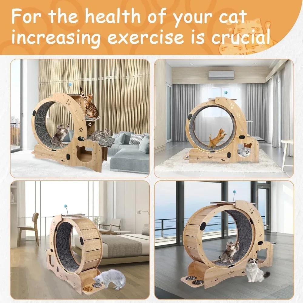 6-in-1 Cat Exercise Wheel with Bed & Scratching Board – Indoor Fitness Toy - Veloro
