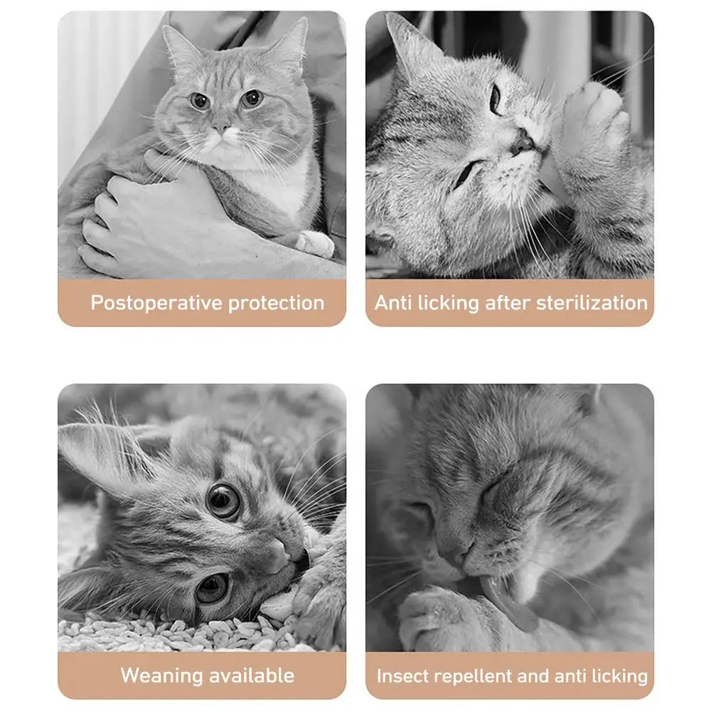 Cat Recovery Suit – Anti-Licking Bodysuit