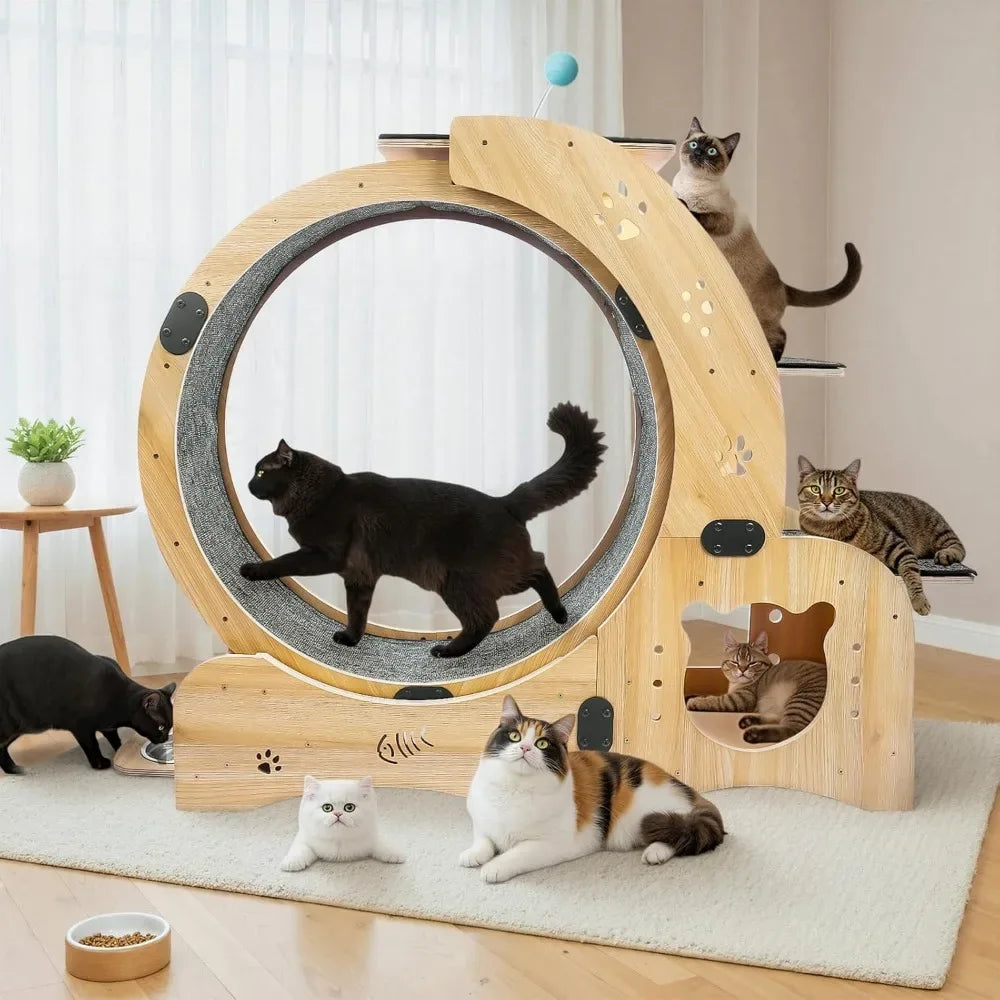 6-in-1 Cat Exercise Wheel with Bed & Scratching Board – Indoor Fitness Toy - Veloro