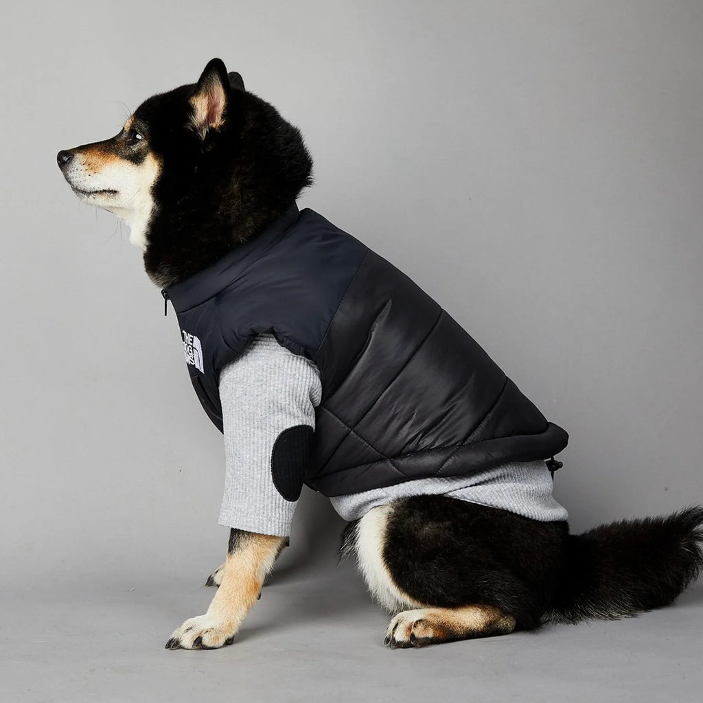 Warm Cotton Dog Winter Jacket – Windproof & Waterproof Coat