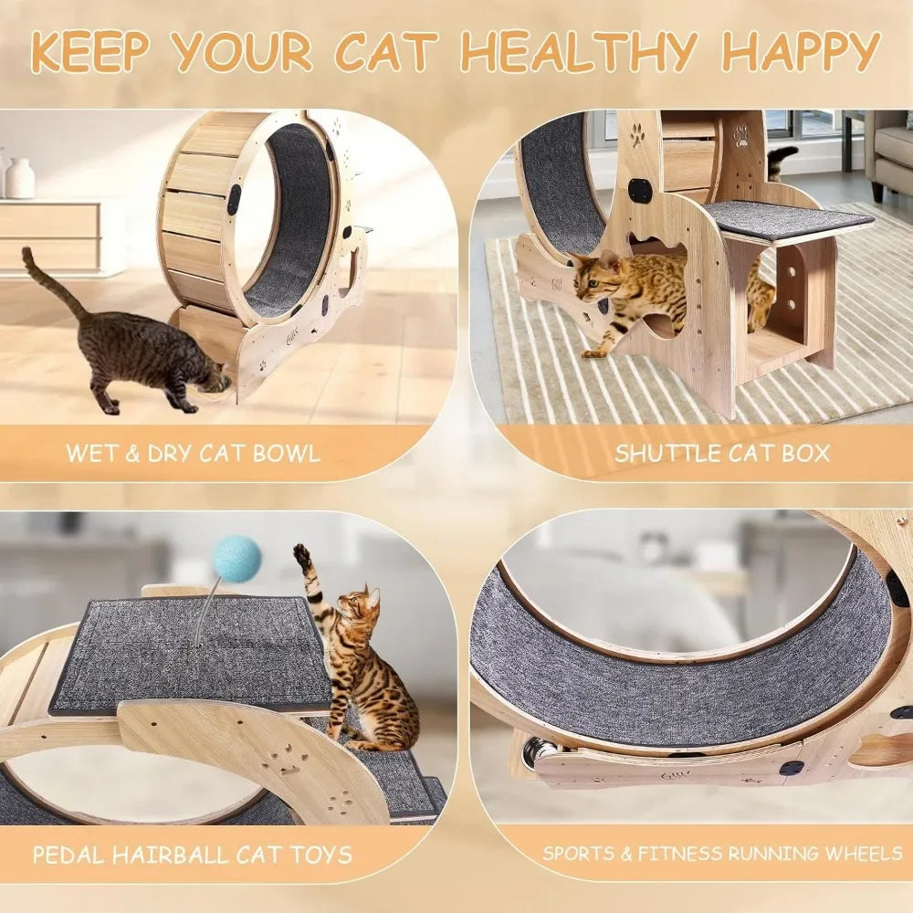 6-in-1 Cat Exercise Wheel with Bed & Scratching Board – Indoor Fitness Toy - Veloro