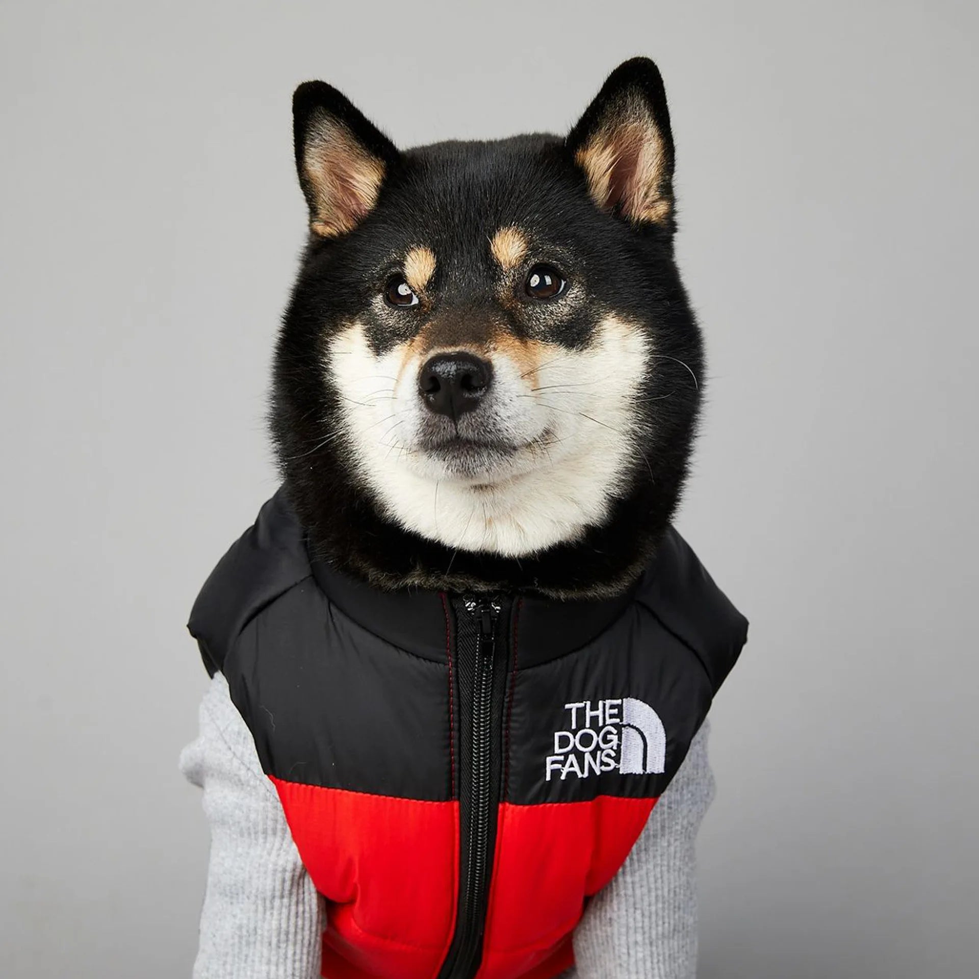 Warm Cotton Dog Winter Jacket – Windproof & Waterproof Coat