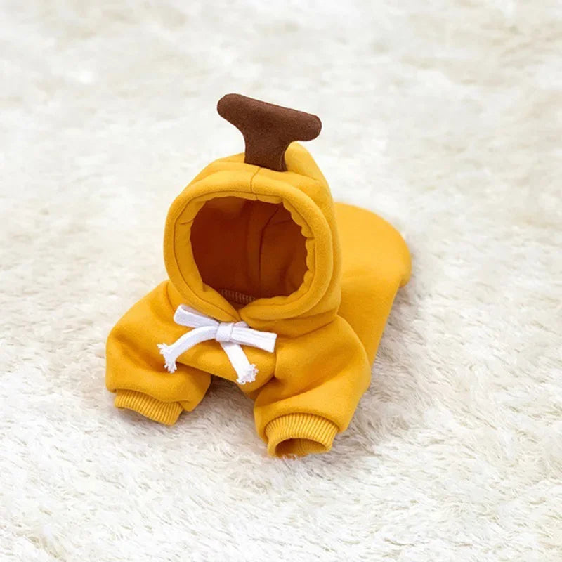 Winter Hoodie Sweater for Cats & Small Dogs